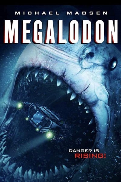 Megalodon