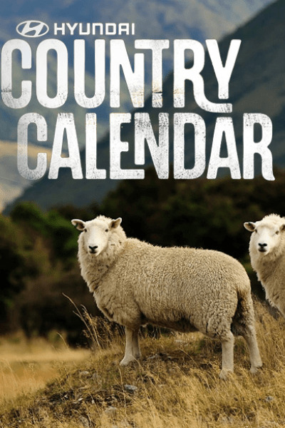 Hyundai Country Calendar - Season 60