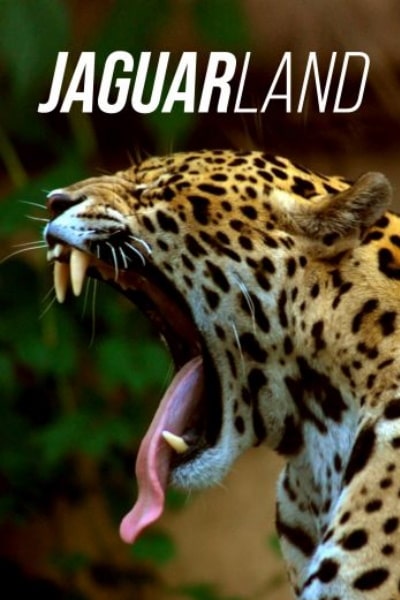 Jaguarland