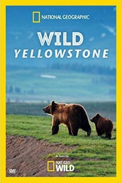 Wild Yellowstone - Season 1 [Sub: Eng]