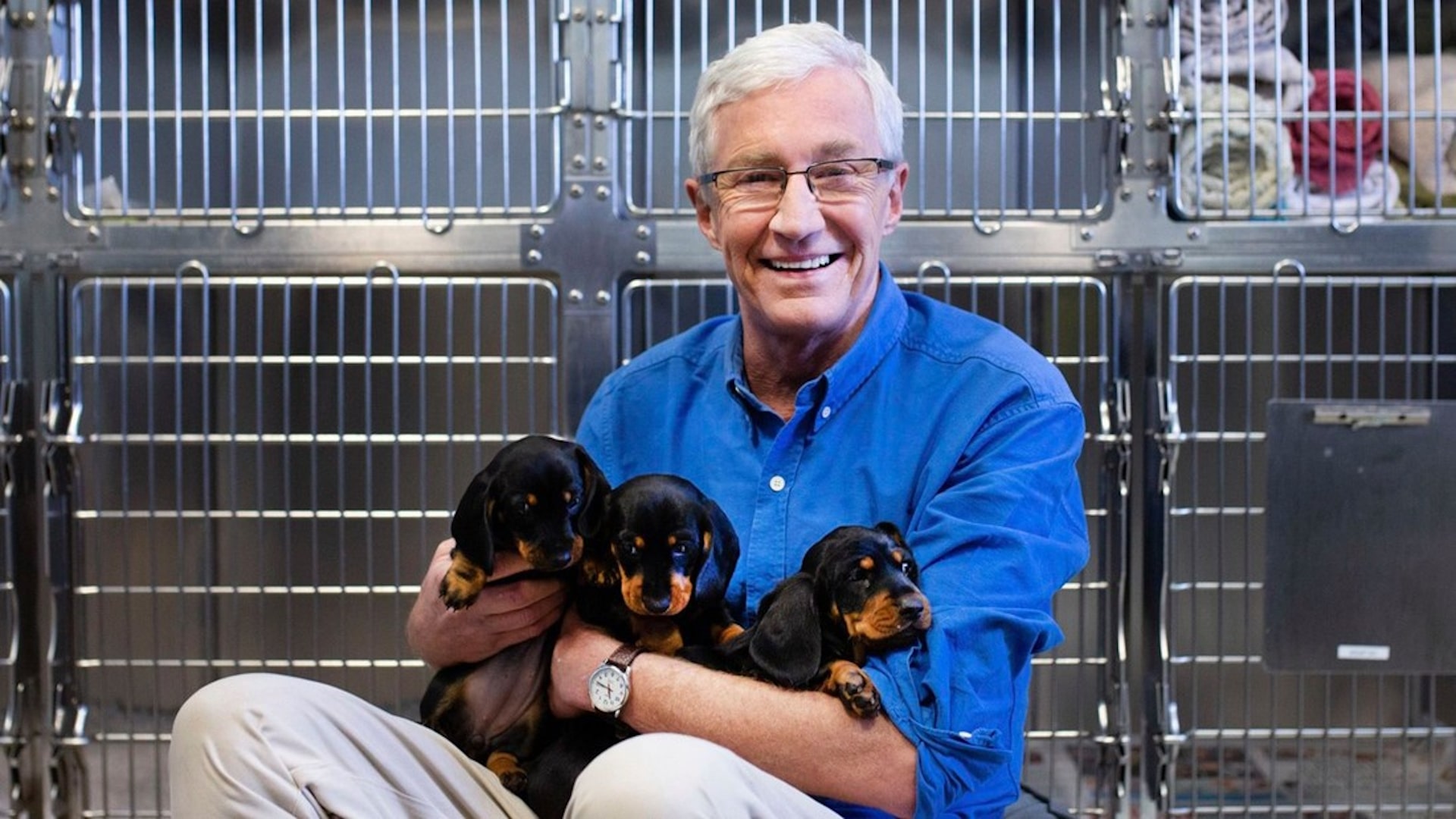 Season 7