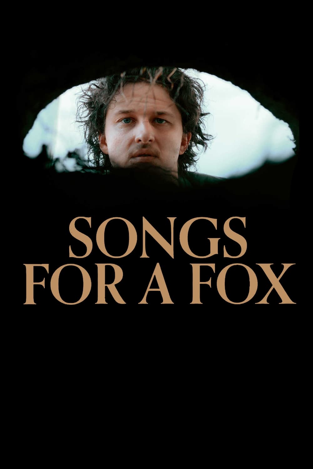 Songs for a Fox (Dainos Lapei)