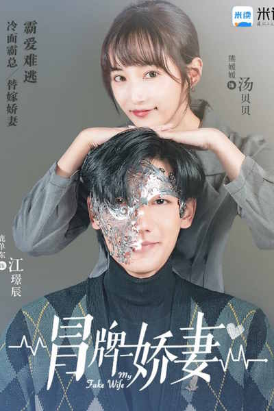 My Fake Wife - Season 1