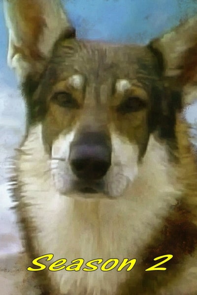The Littlest Hobo - Season 2