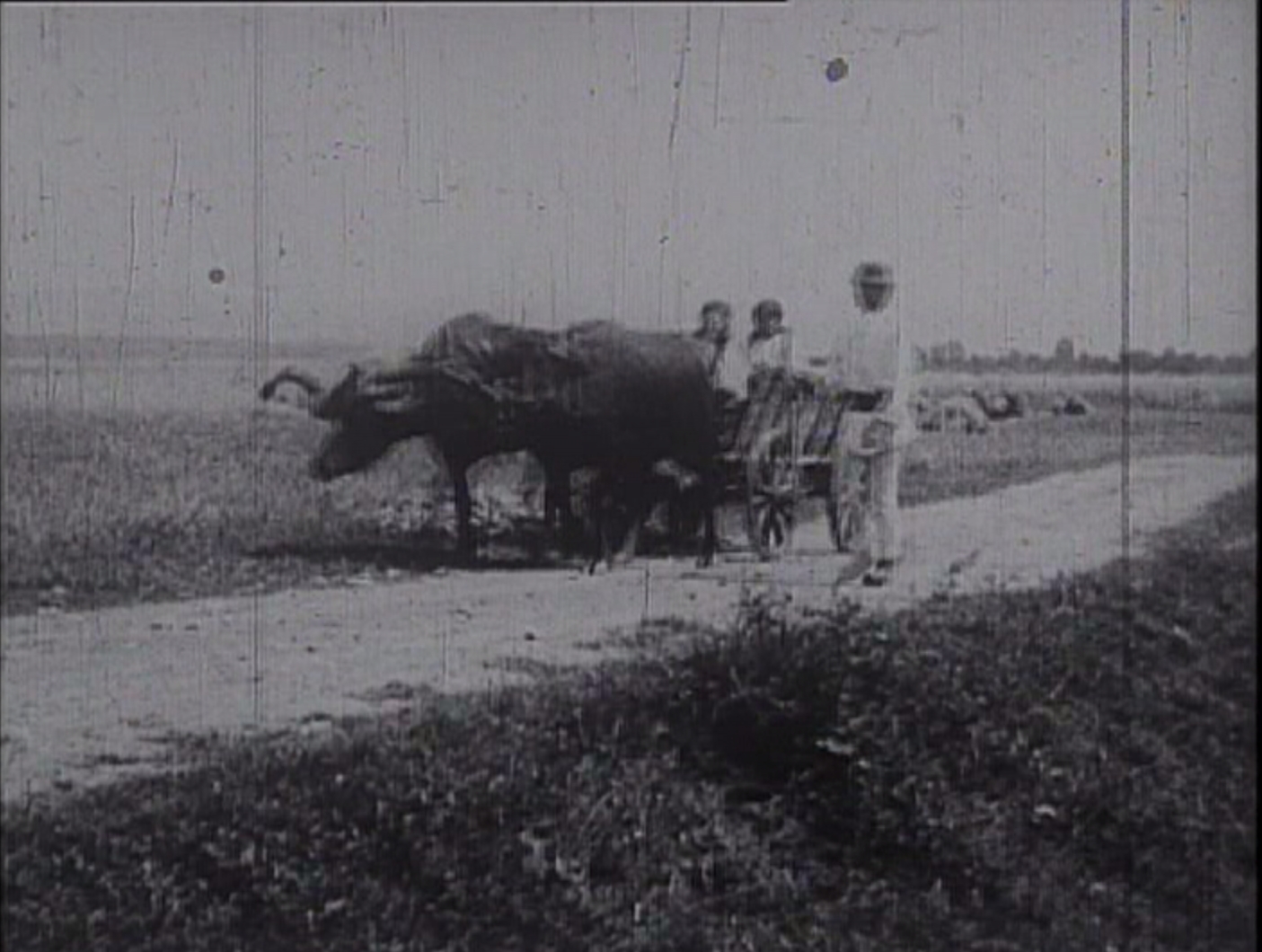 Dragus [Audio: Romanian]
