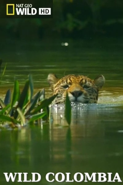 Destination Wild: Colombia&nbsp;- Season 1