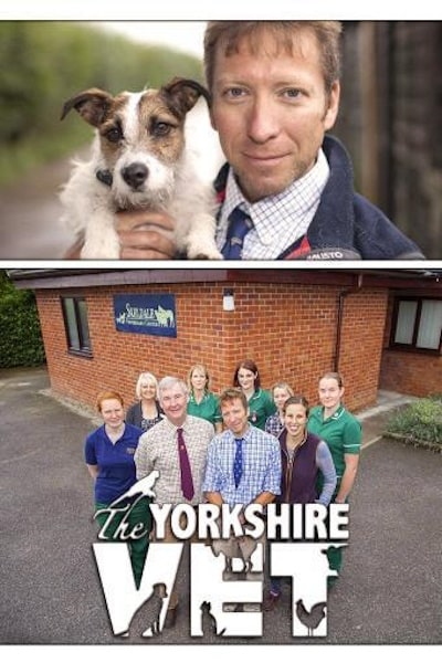 The Yorkshire Vet - Season 12