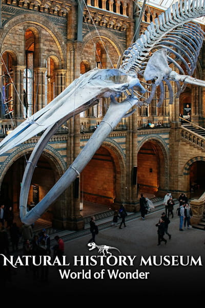 Natural History Museum: World of Wonder - Season 2