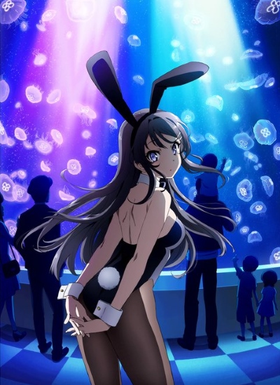 Seishun Buta Yarou wa Bunny Girl Senpai no Yume wo Minai [Sub: Eng]