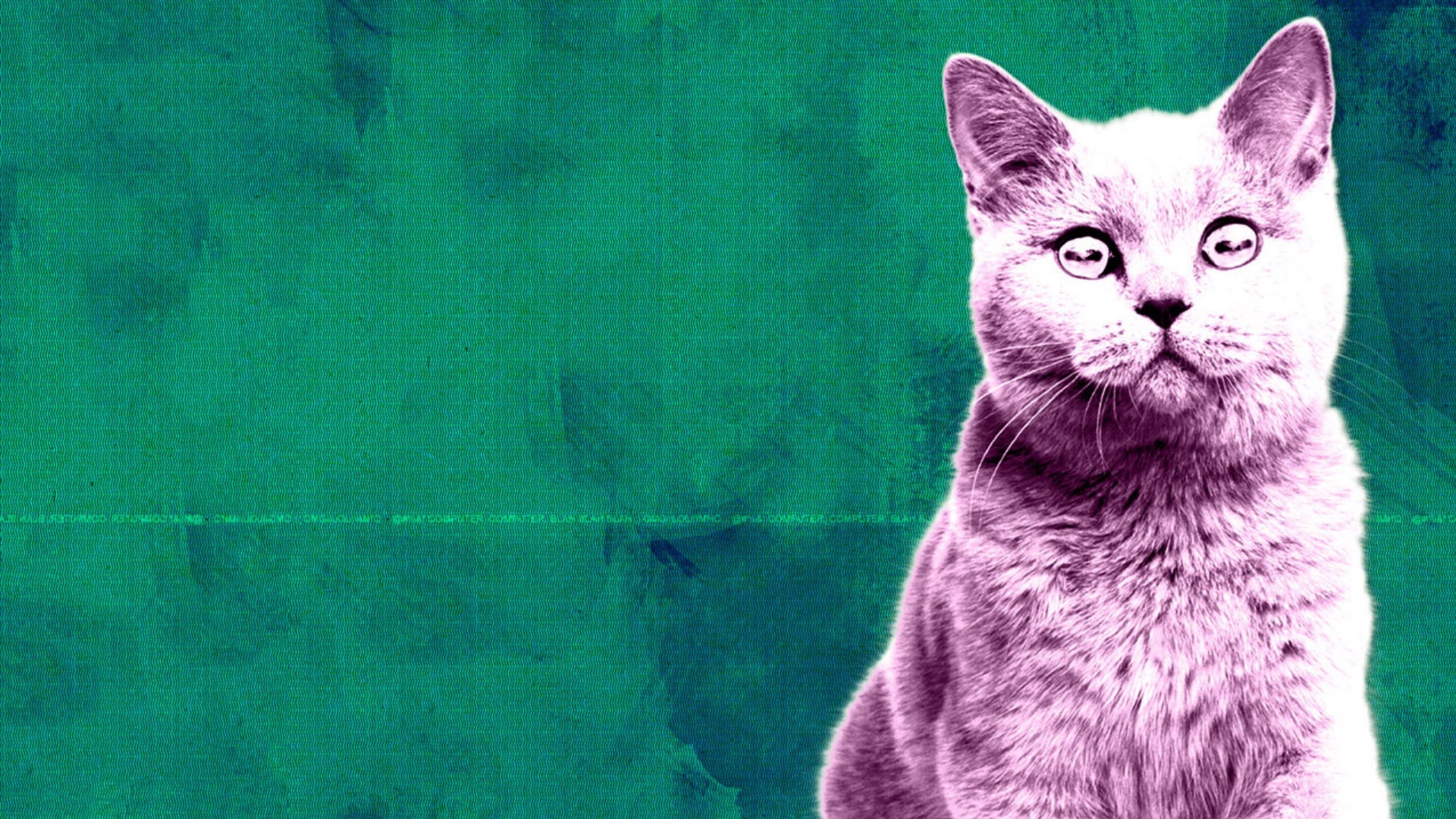 Season 10