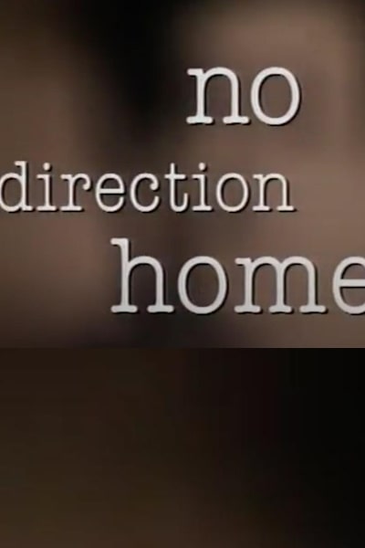 No Direction Home